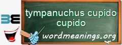 WordMeaning blackboard for tympanuchus cupido cupido